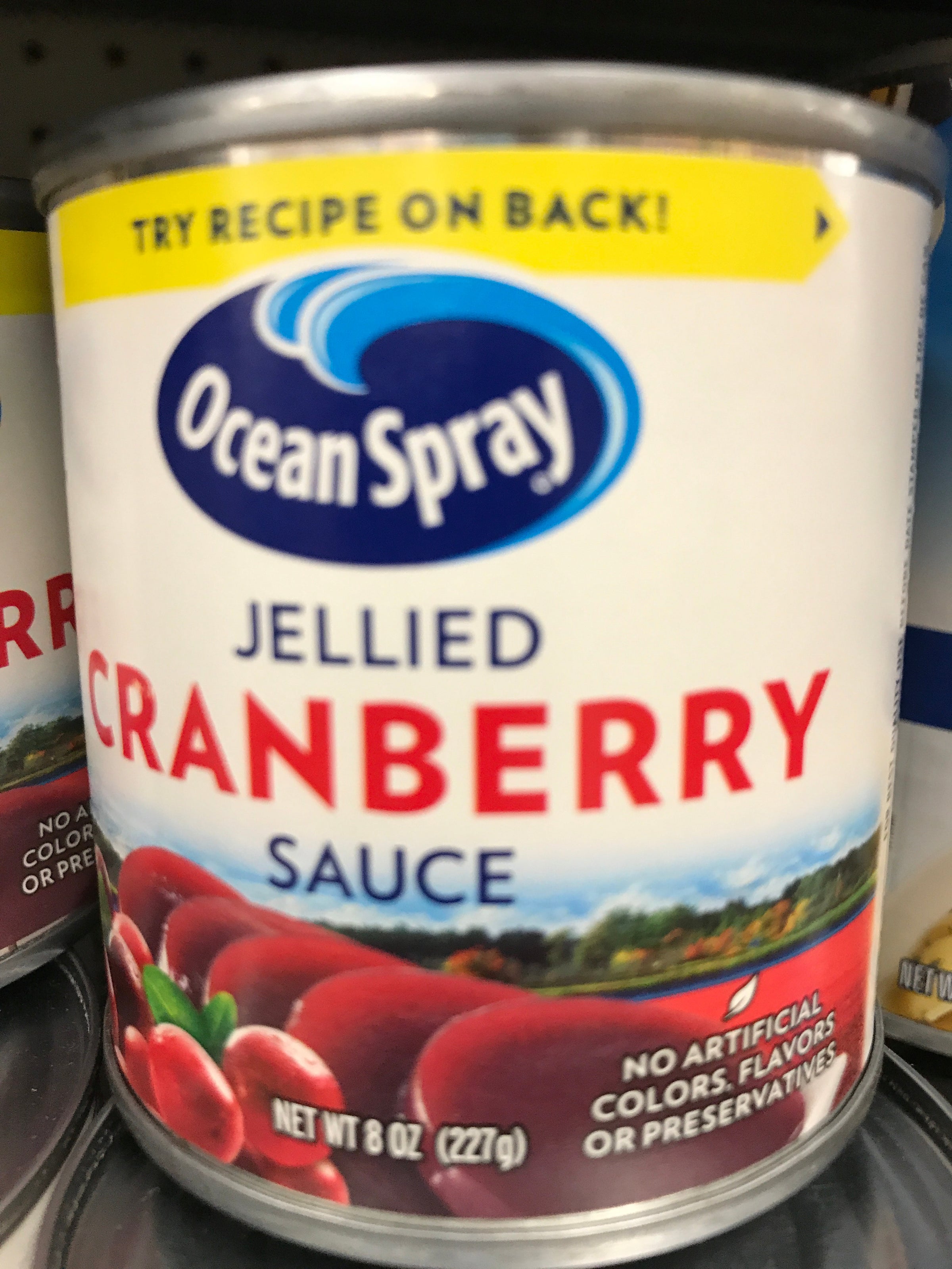 OCEAN SPRAY JELLIED CRANBERRY SAUCE 8oz | Original Colonial Market